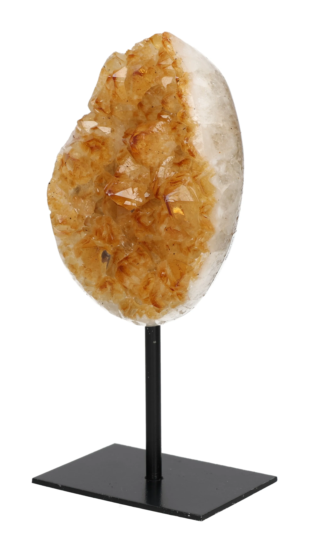 orbitvu|type:image2d