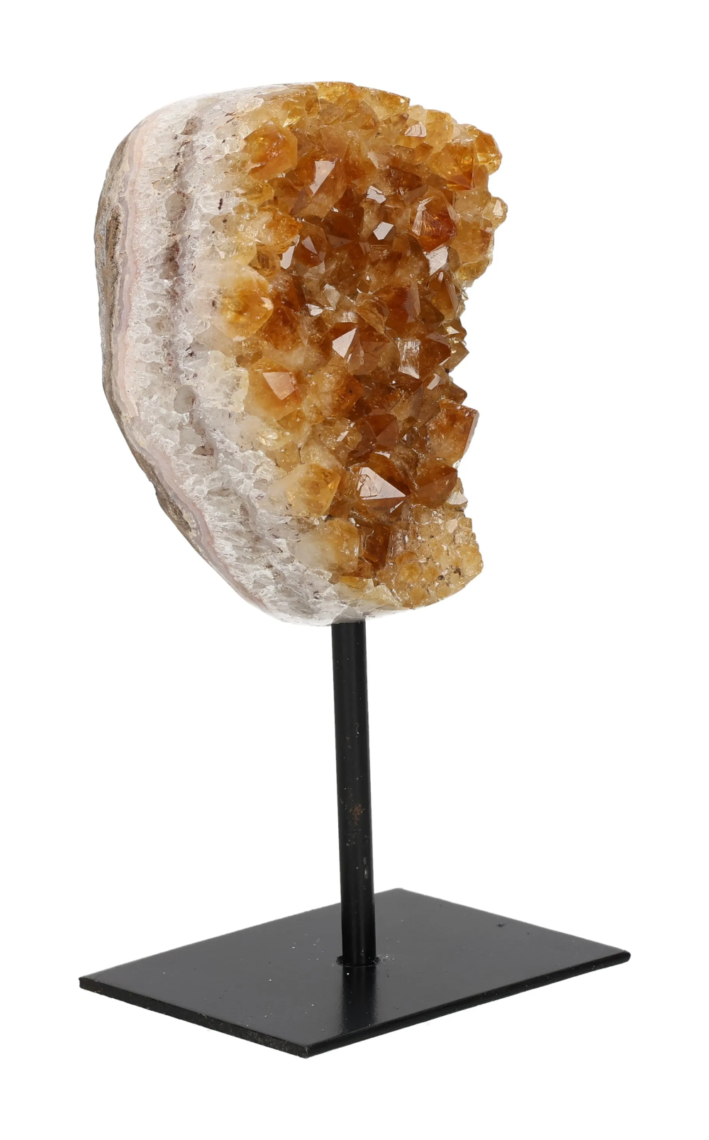 orbitvu|type:image2d