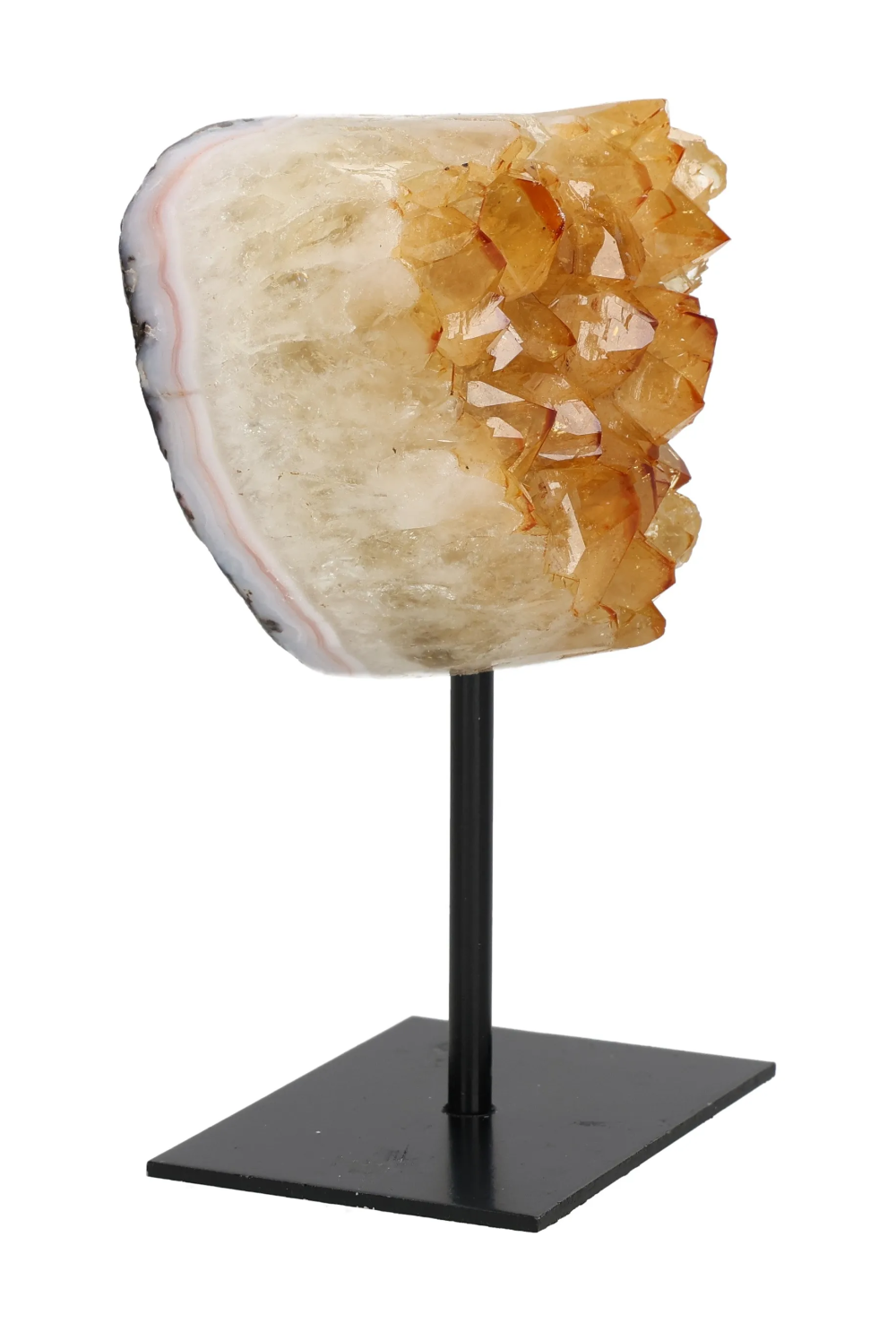 orbitvu|type:image2d