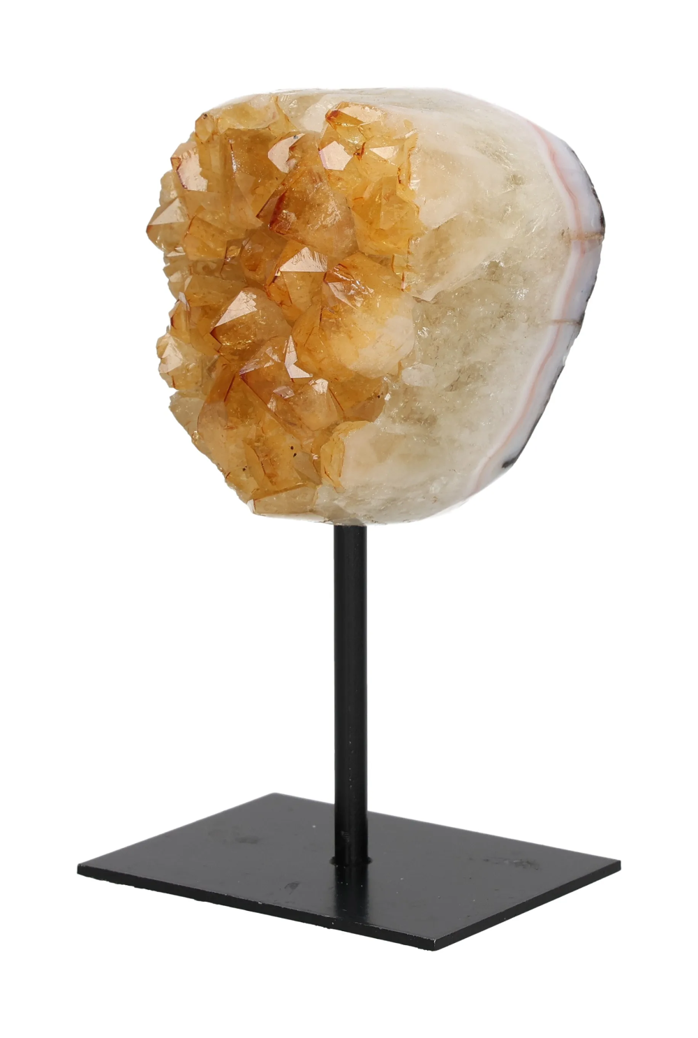 orbitvu|type:image2d