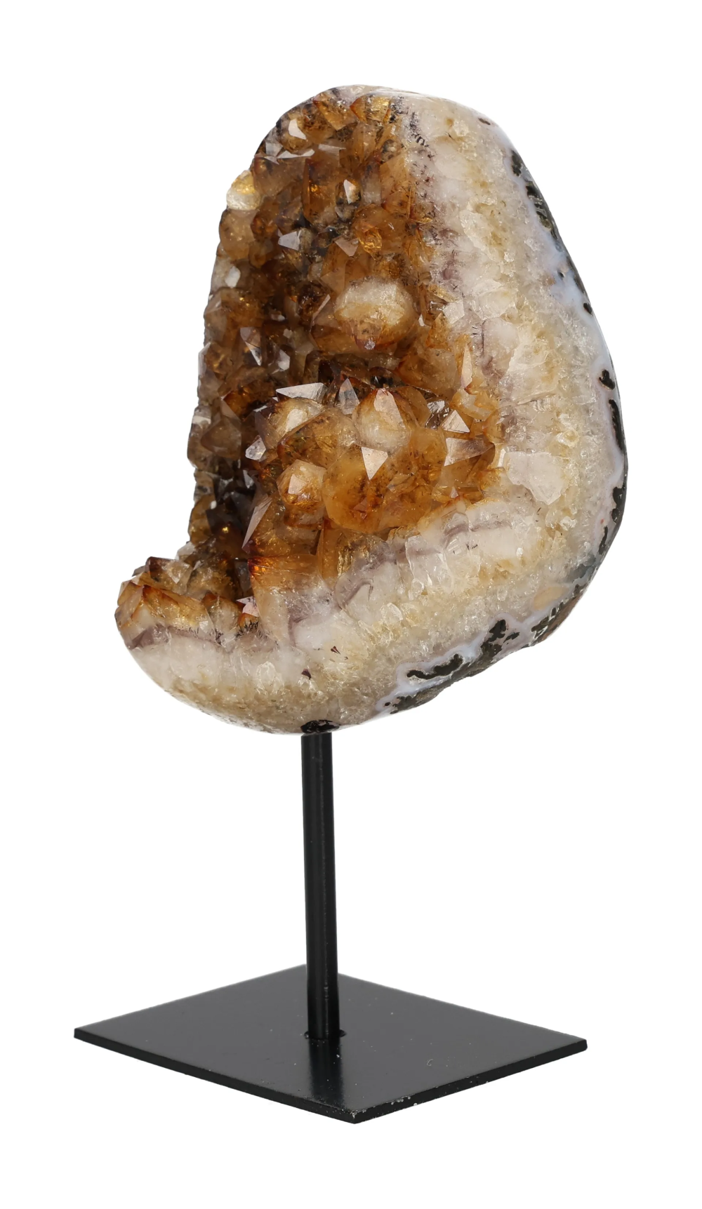 orbitvu|type:image2d