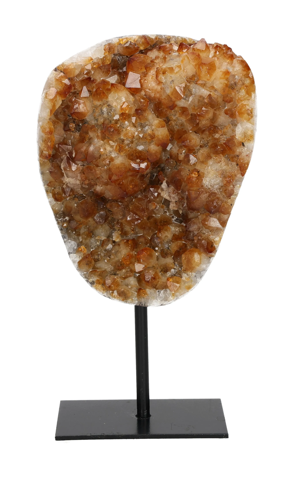 orbitvu|type:image2d