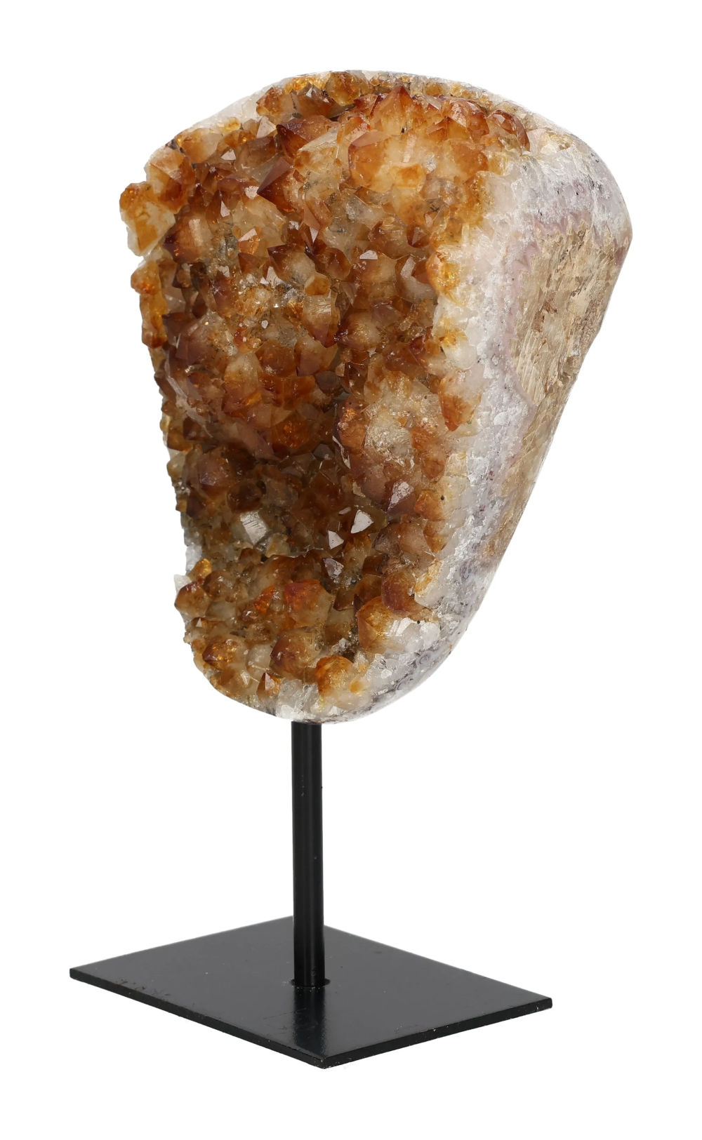 orbitvu|type:image2d