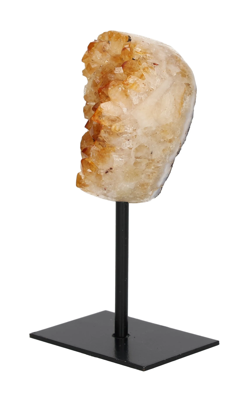 orbitvu|type:image2d