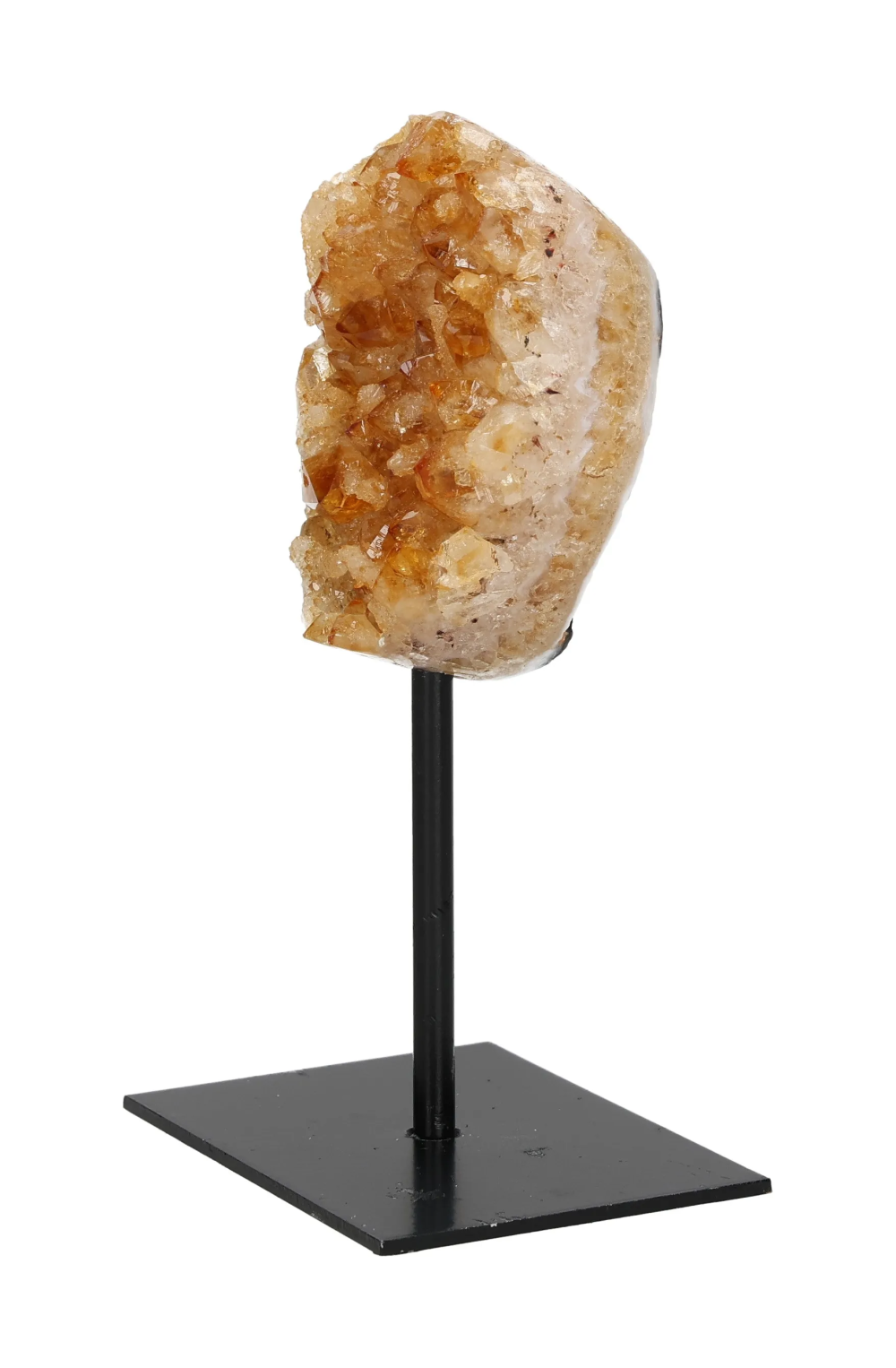 orbitvu|type:image2d