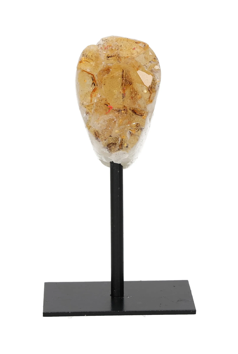 orbitvu|type:image2d