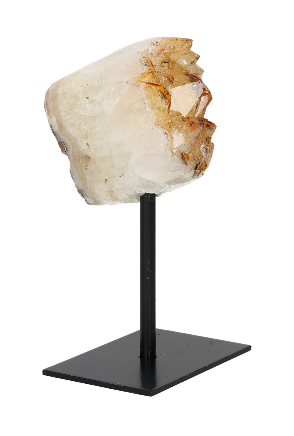 orbitvu|type:image2d