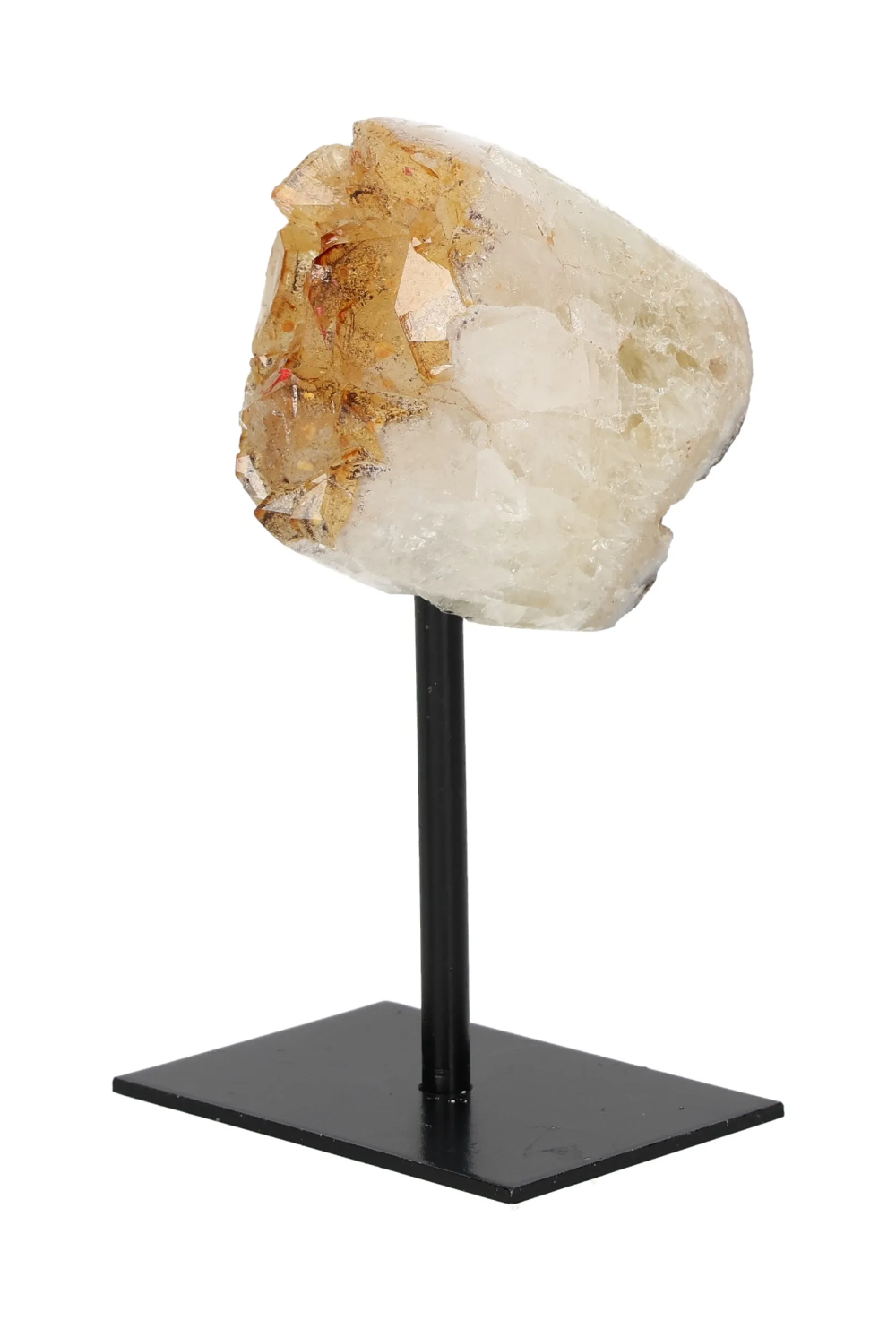 orbitvu|type:image2d