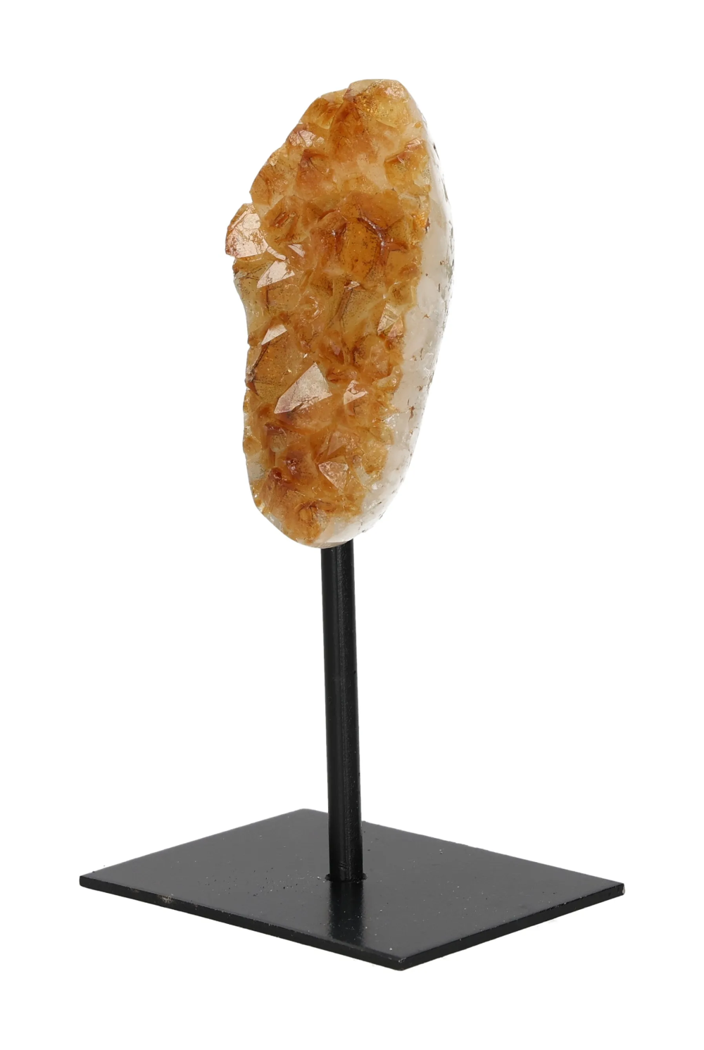 orbitvu|type:image2d