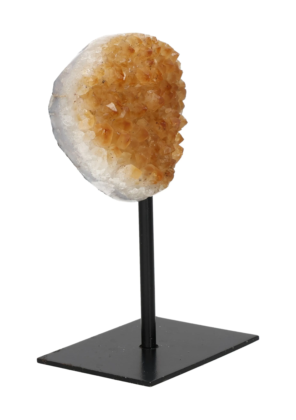 orbitvu|type:image2d