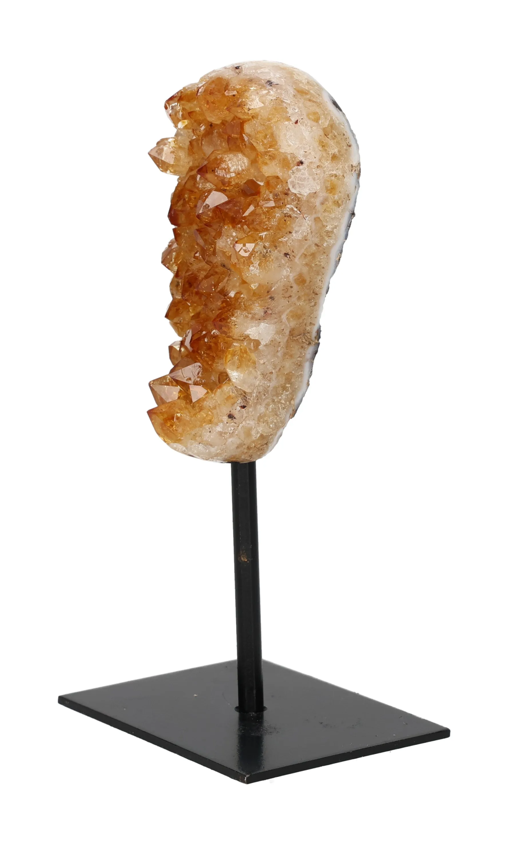 orbitvu|type:image2d