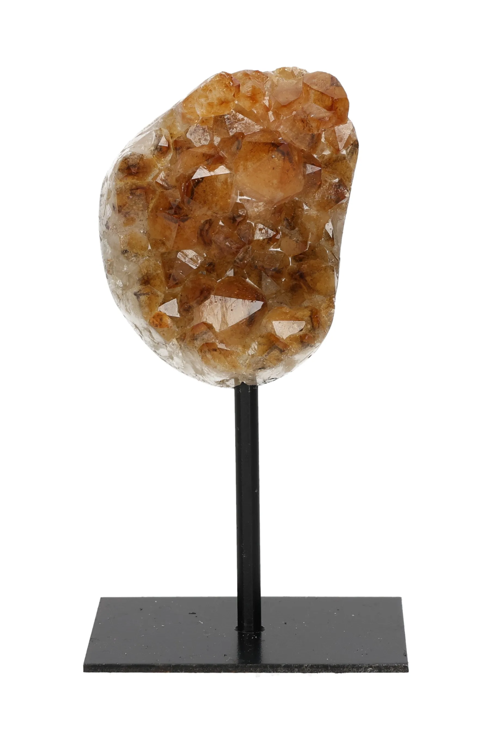 orbitvu|type:image2d