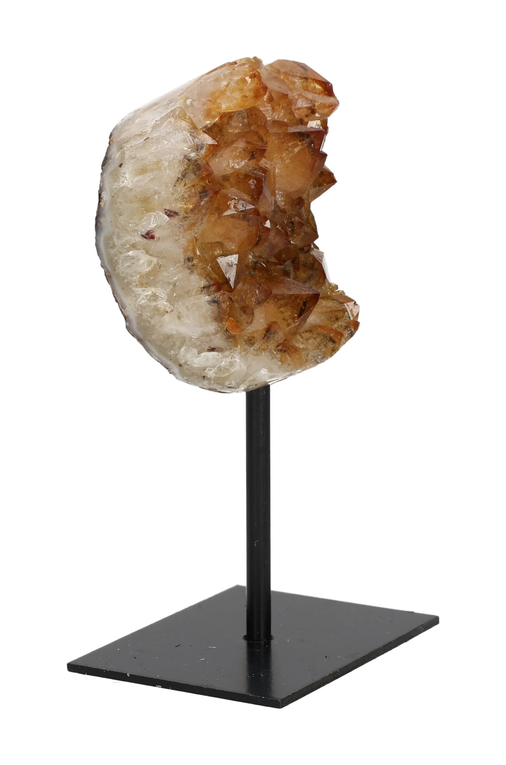 orbitvu|type:image2d