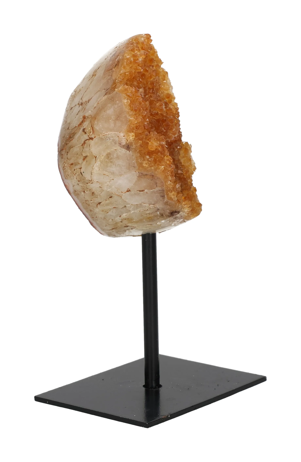 orbitvu|type:image2d