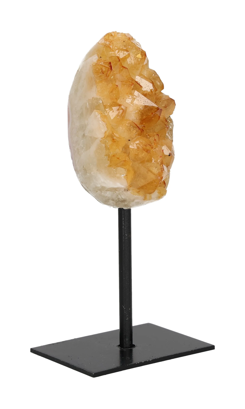 orbitvu|type:image2d