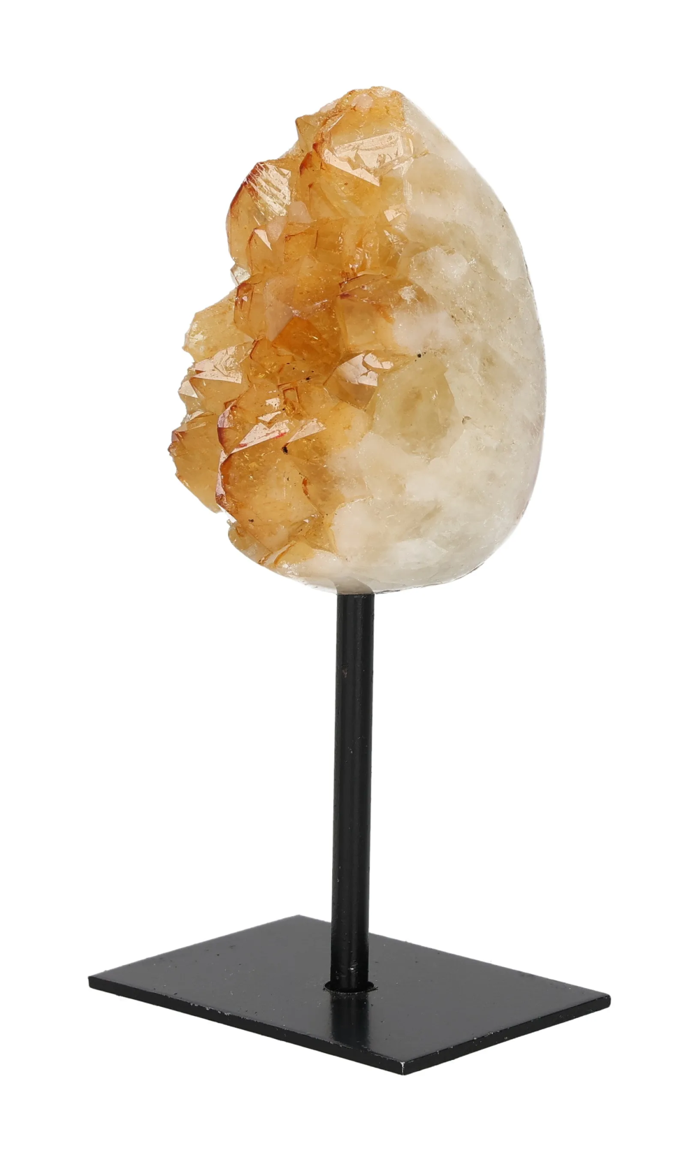 orbitvu|type:image2d