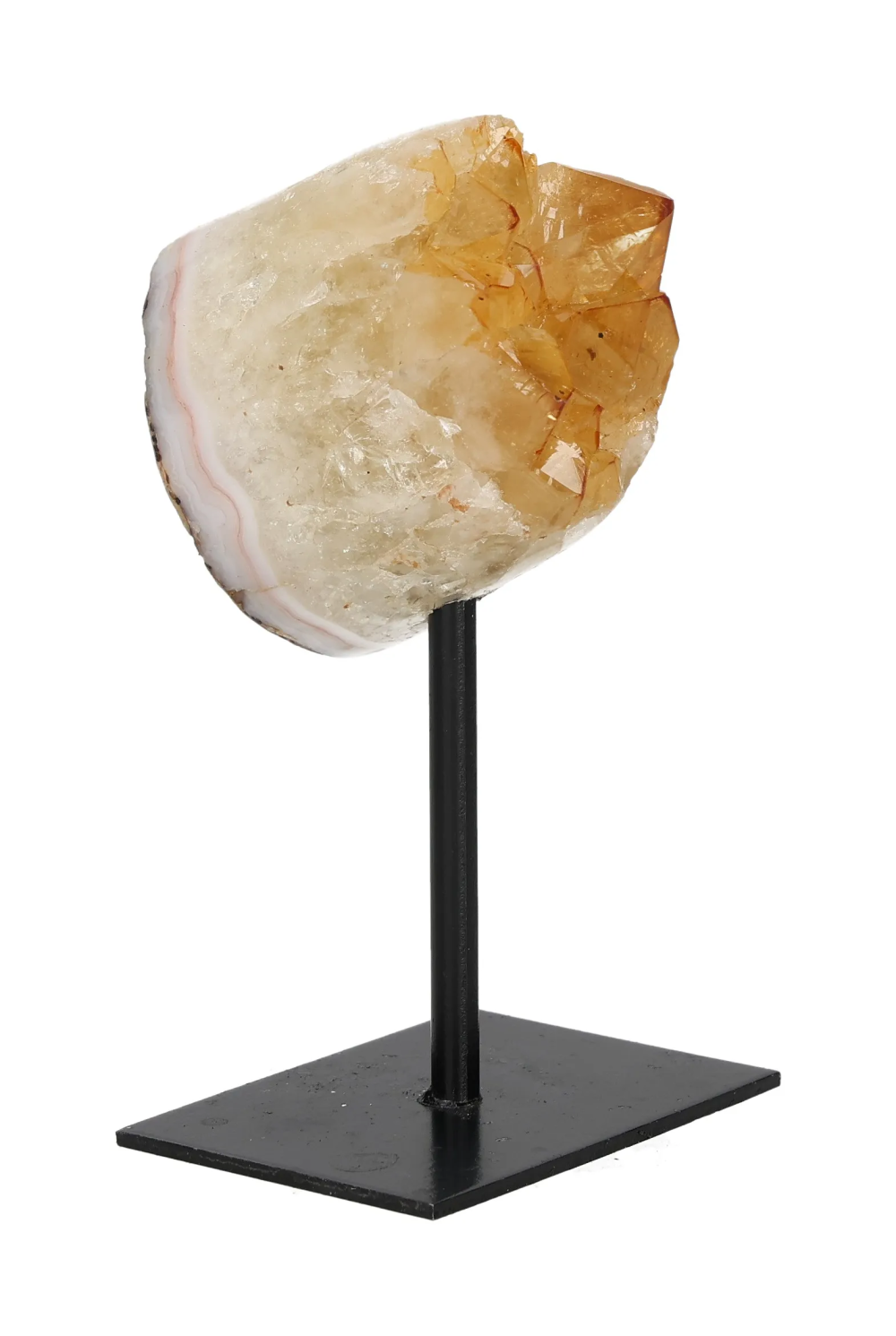 orbitvu|type:image2d