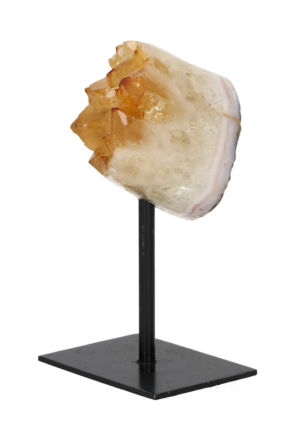 orbitvu|type:image2d