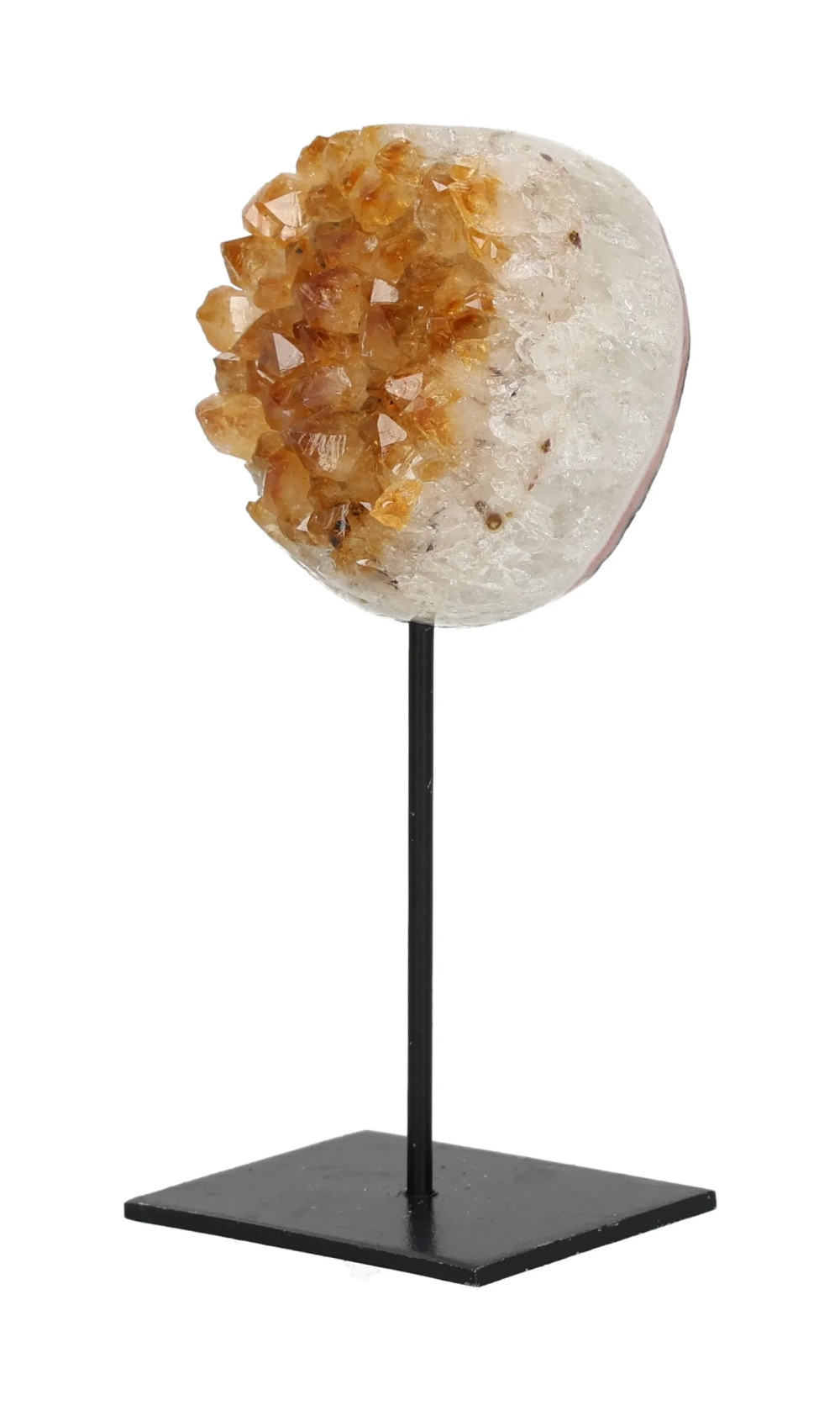 orbitvu|type:image2d