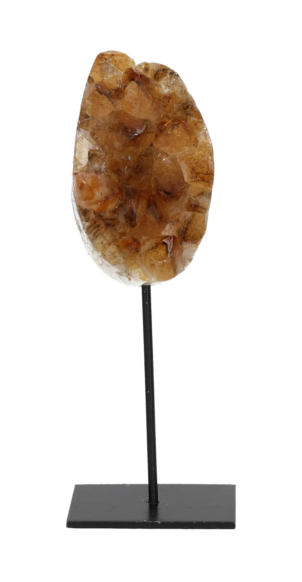 orbitvu|type:image2d