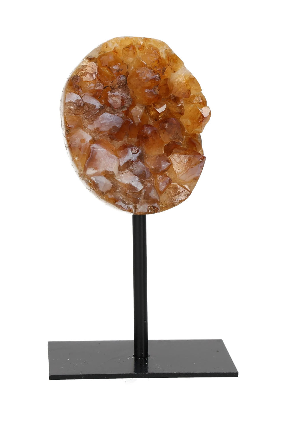 orbitvu|type:image2d