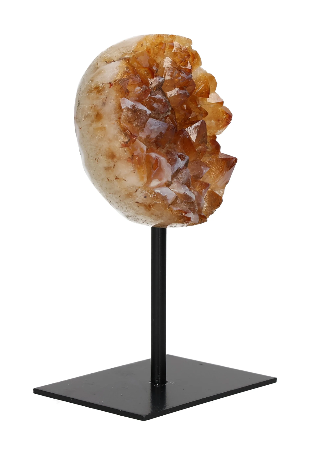 orbitvu|type:image2d