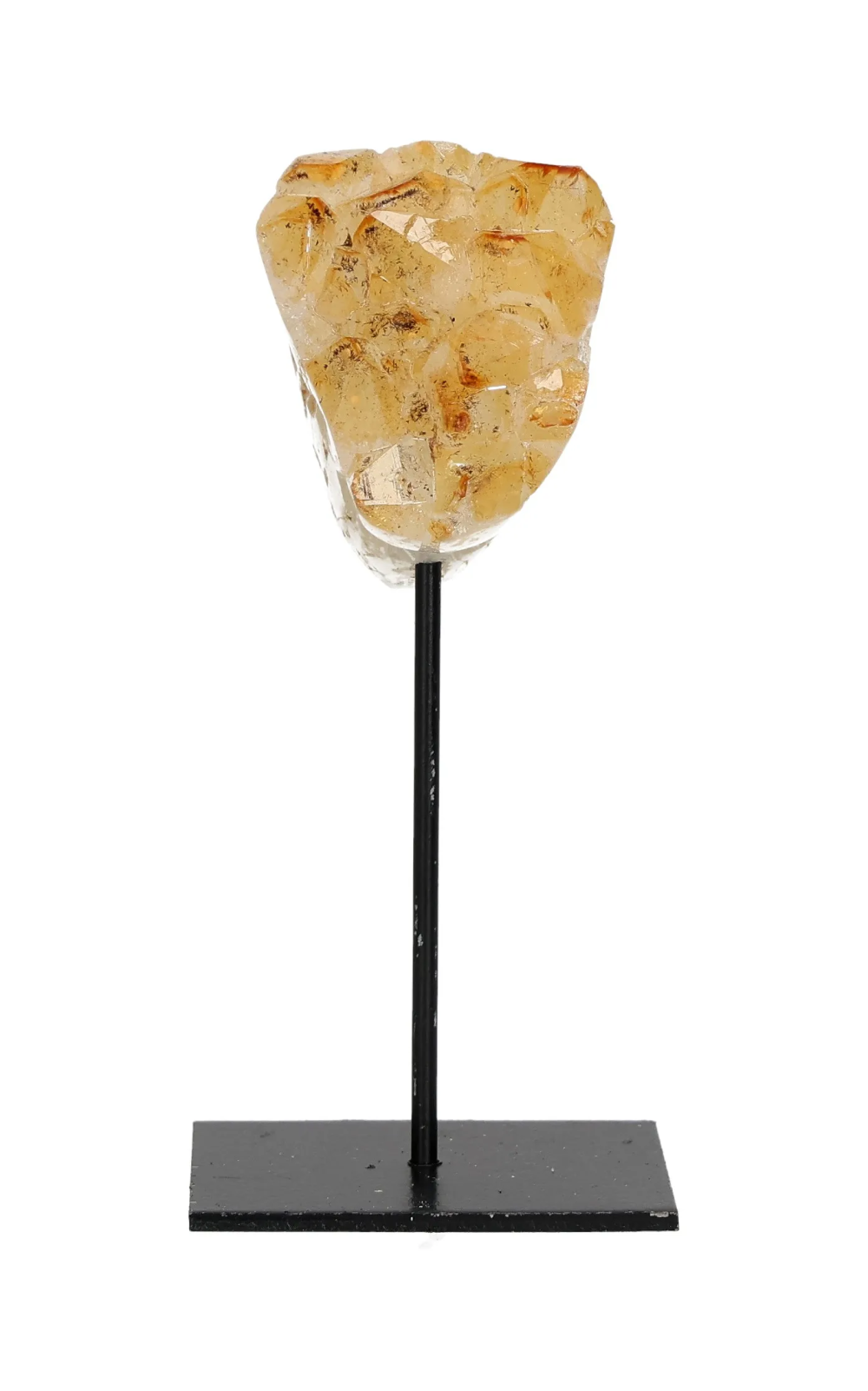 orbitvu|type:image2d