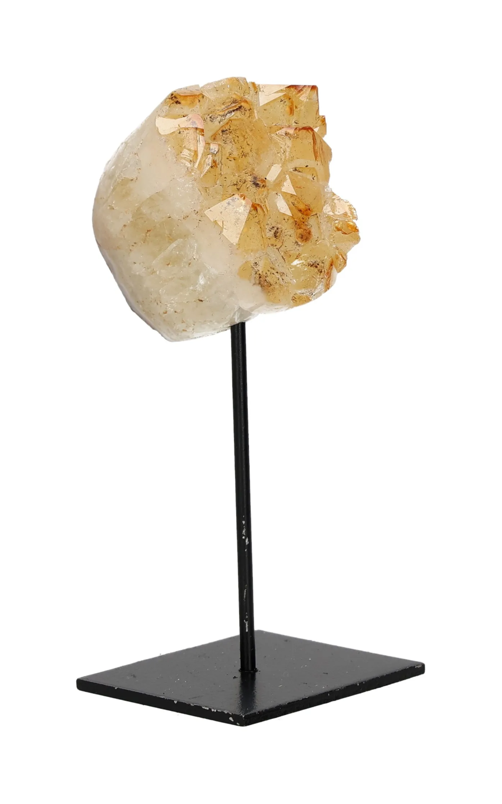 orbitvu|type:image2d