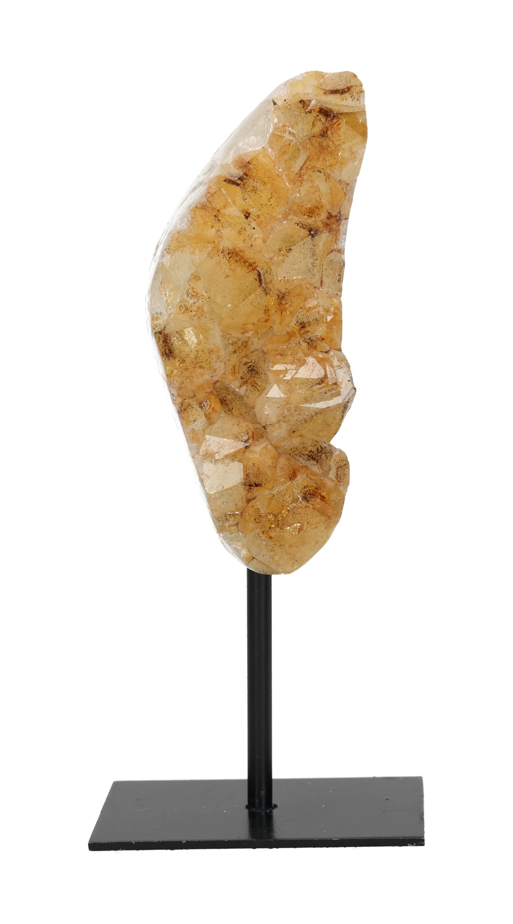 orbitvu|type:image2d