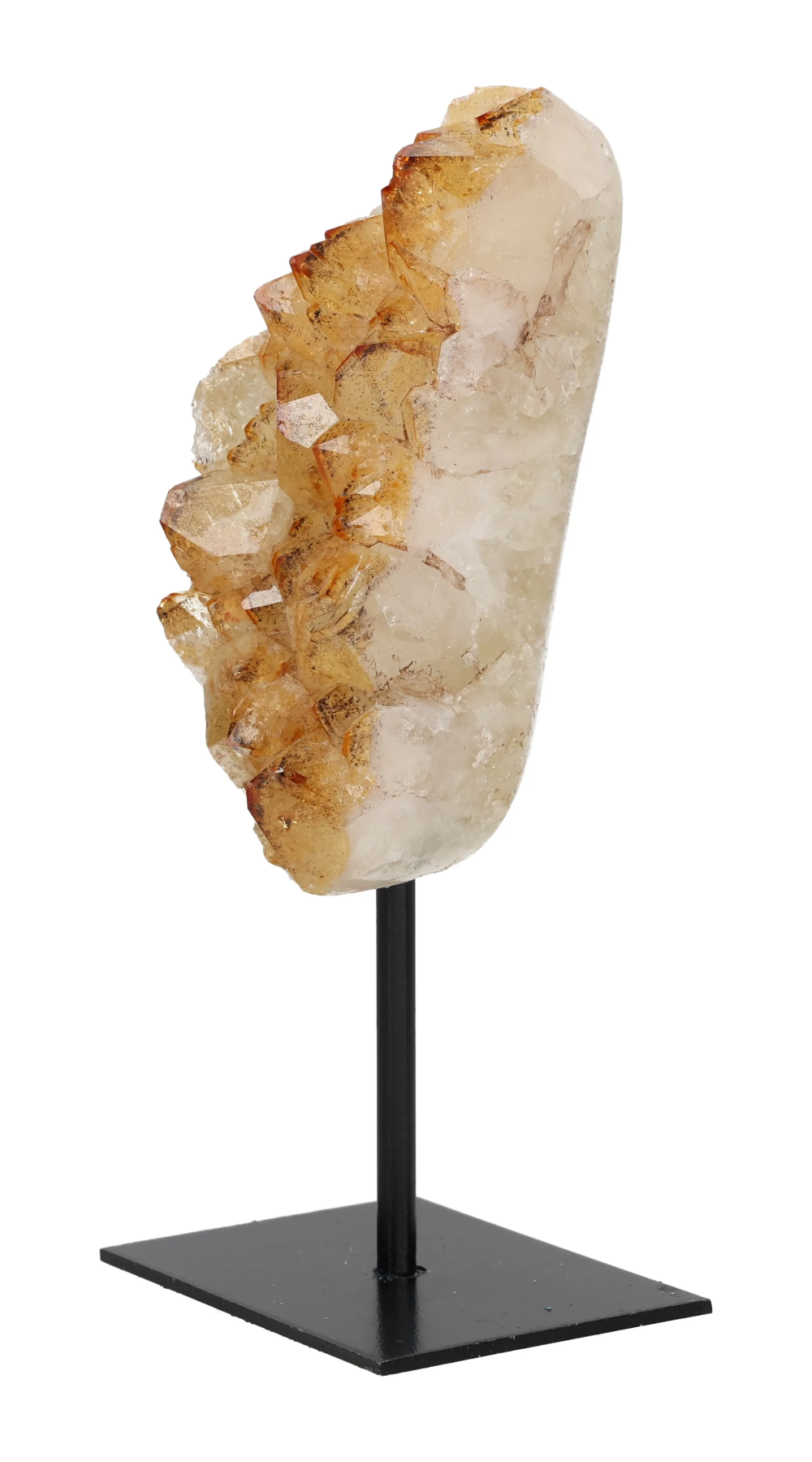 orbitvu|type:image2d