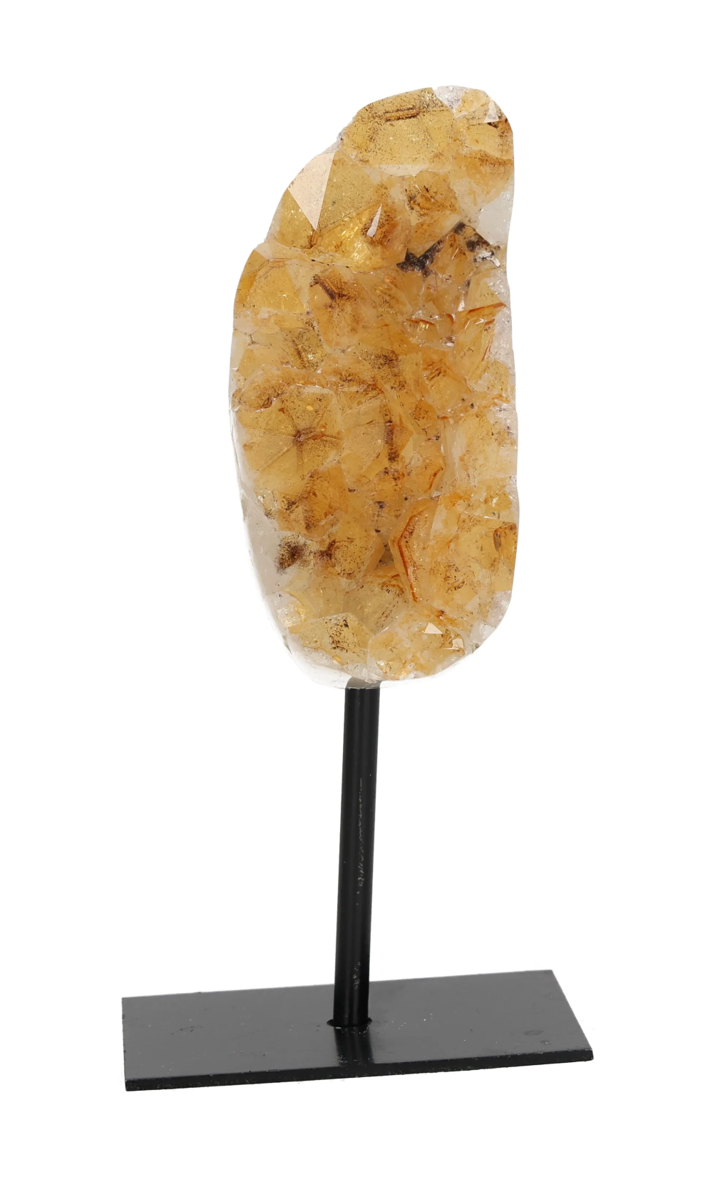 orbitvu|type:image2d