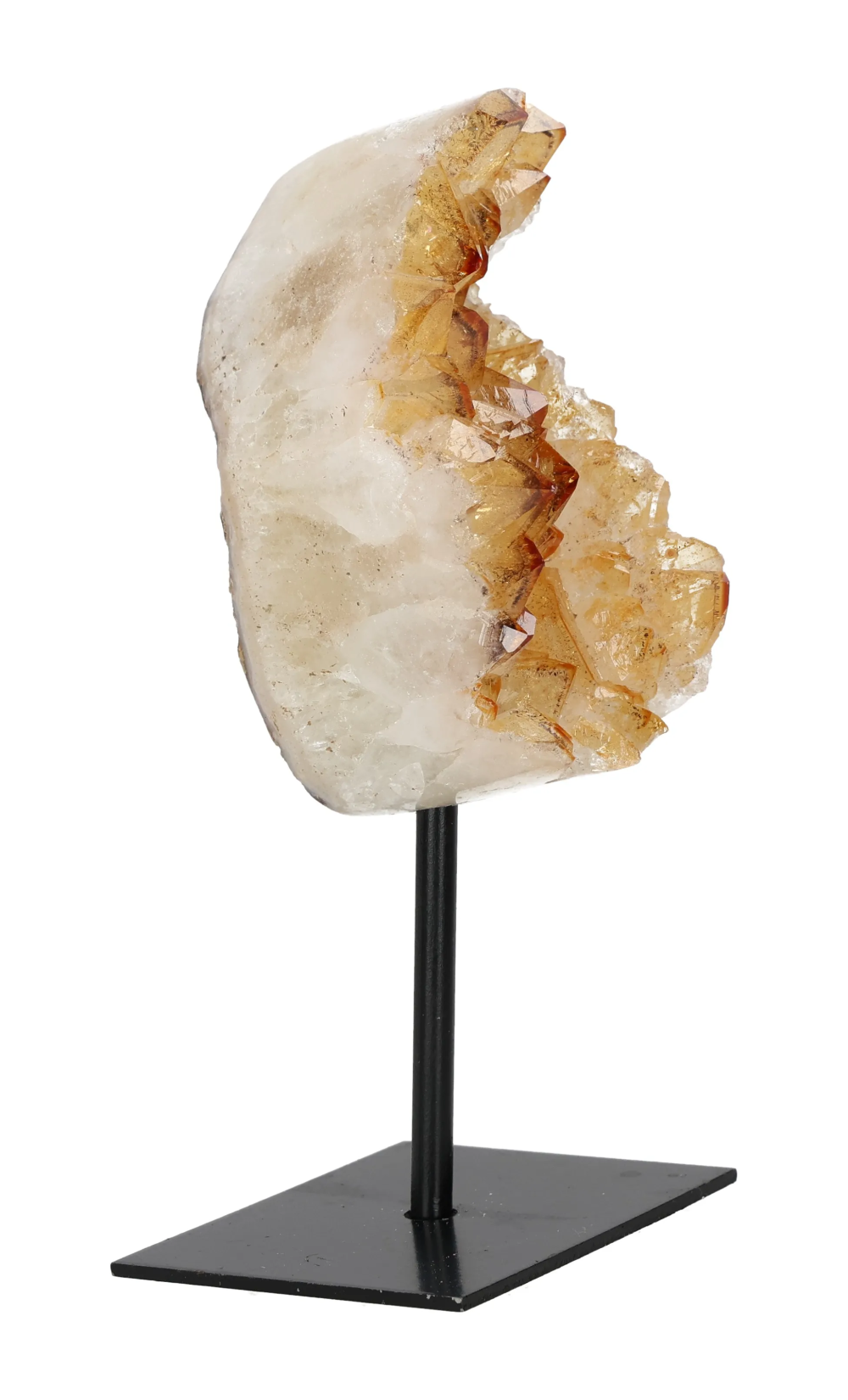 orbitvu|type:image2d