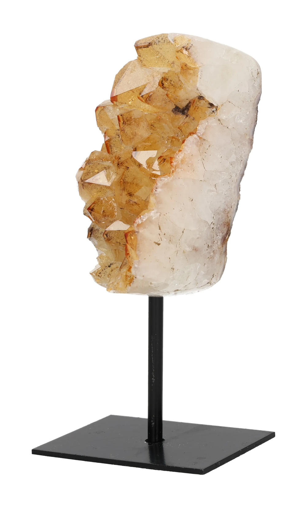 orbitvu|type:image2d