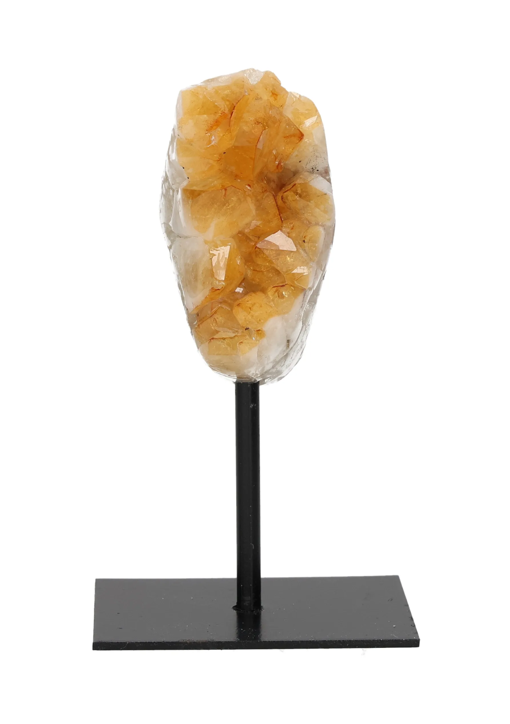 orbitvu|type:image2d