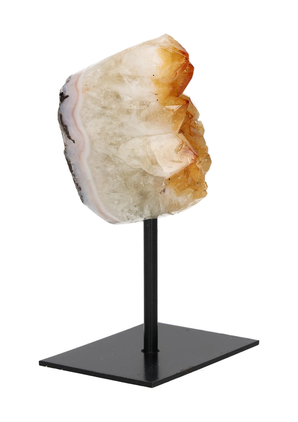 orbitvu|type:image2d