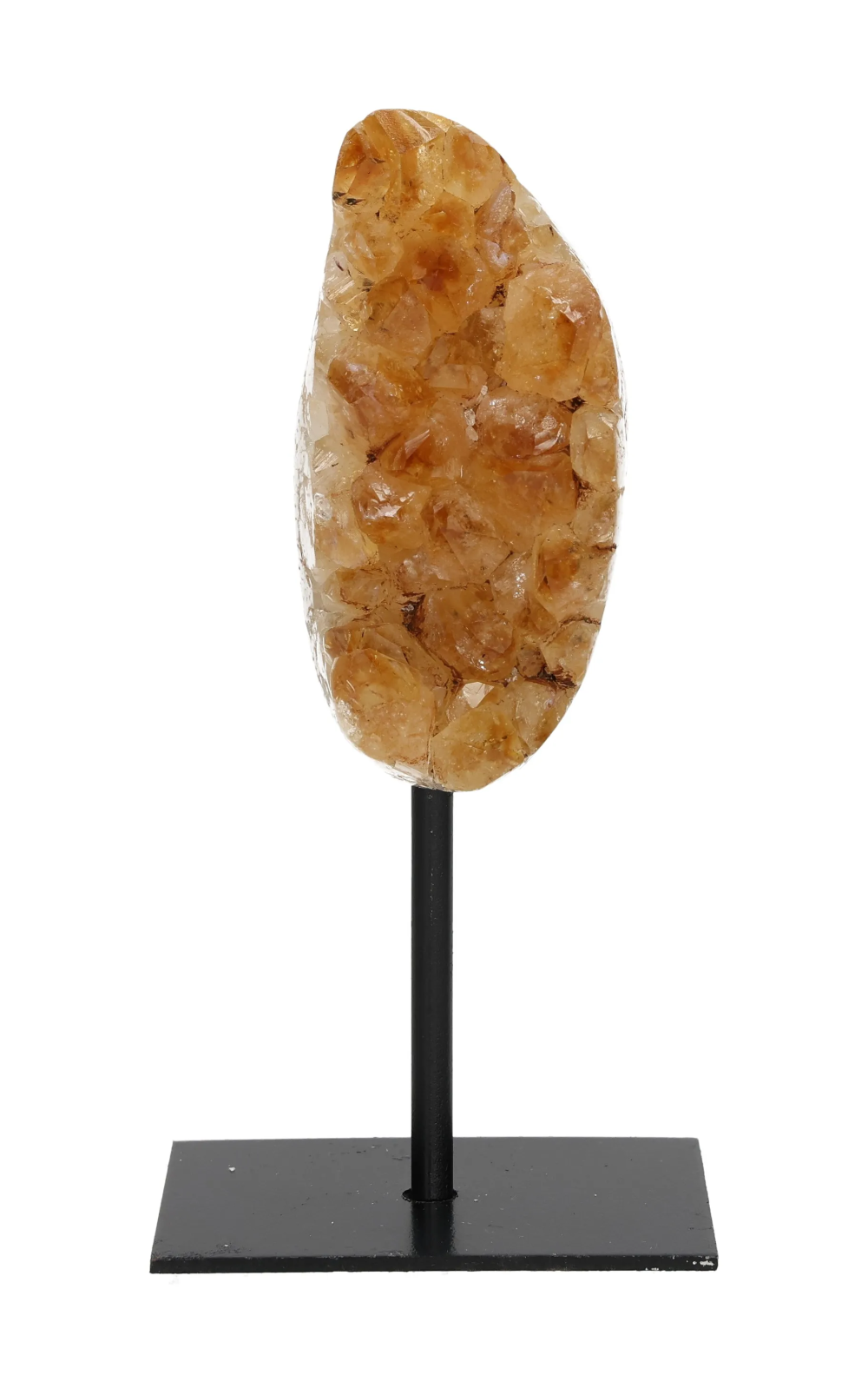 orbitvu|type:image2d