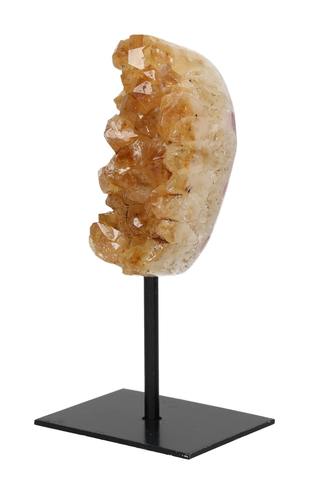 orbitvu|type:image2d