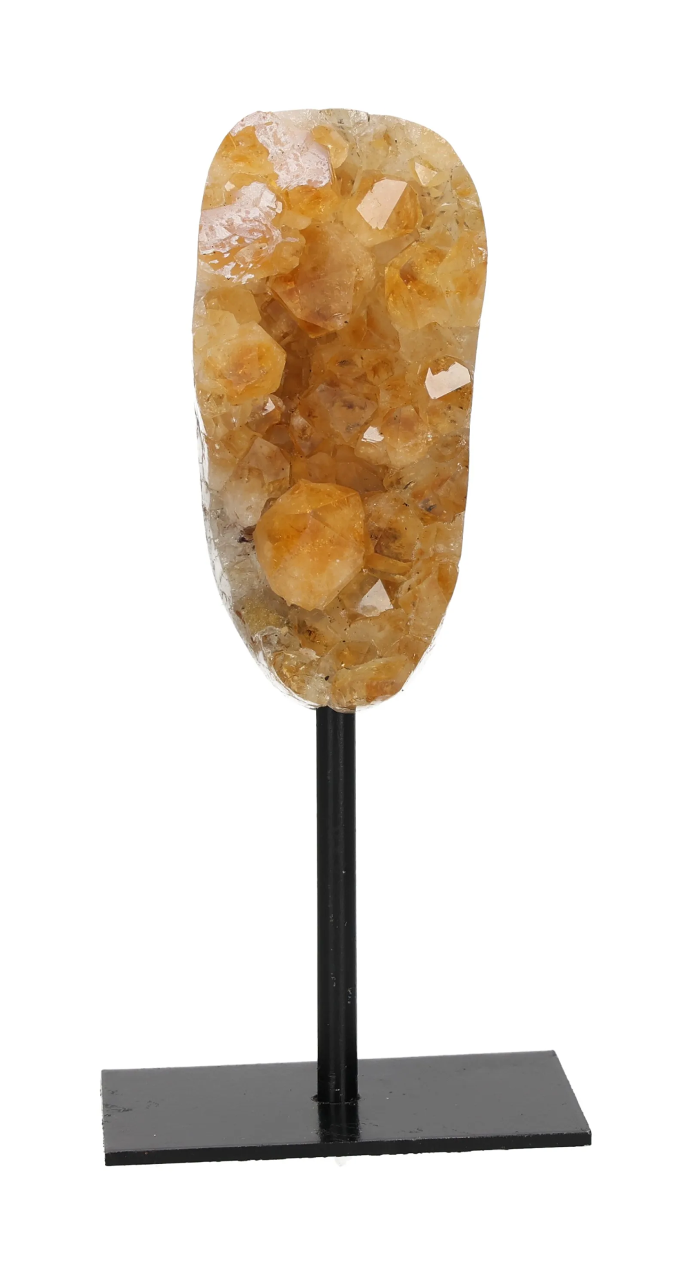 orbitvu|type:image2d