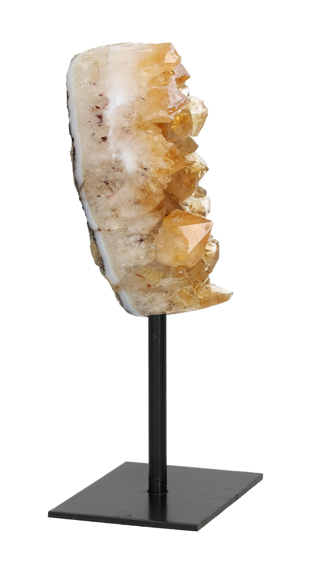 orbitvu|type:image2d