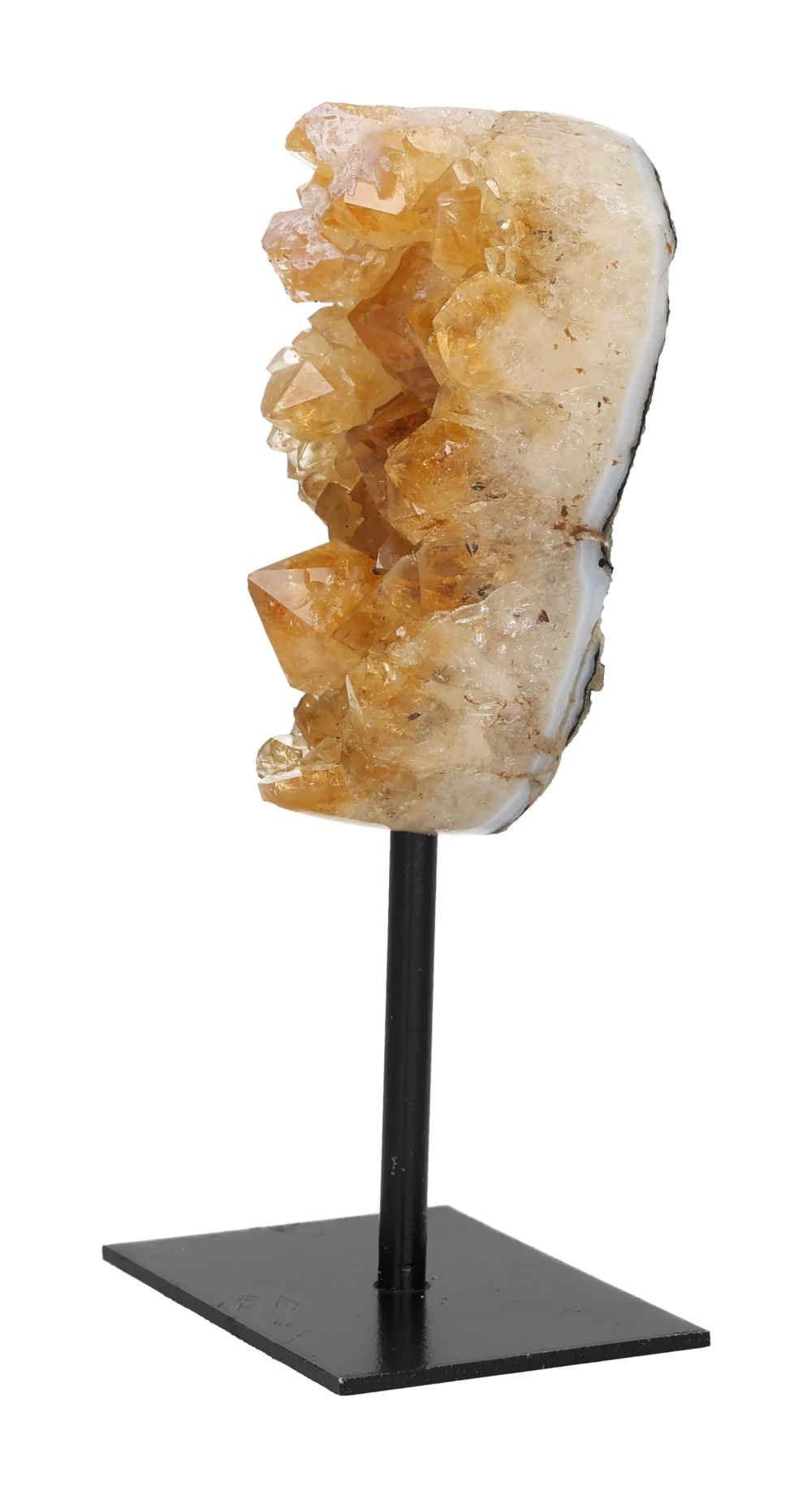 orbitvu|type:image2d