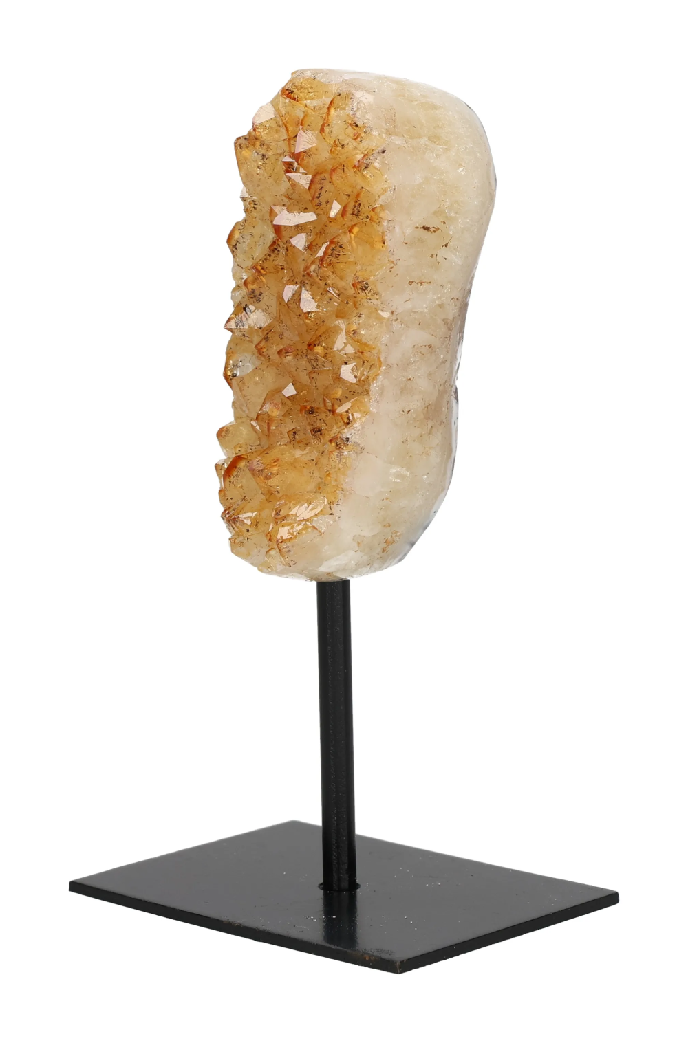 orbitvu|type:image2d