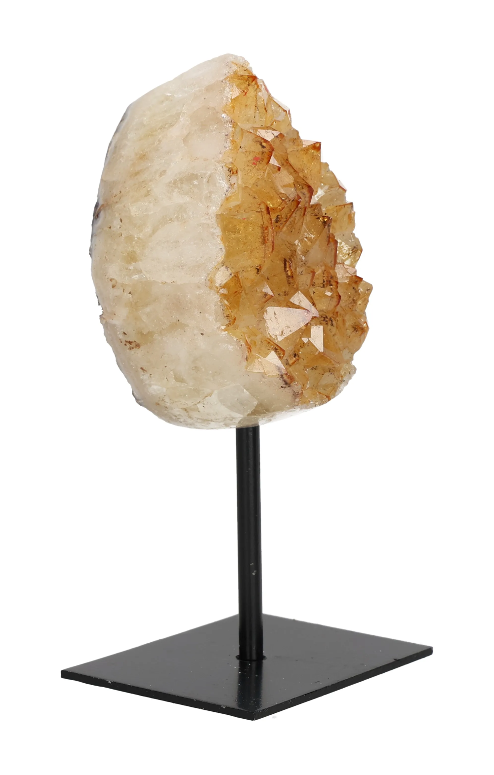 orbitvu|type:image2d