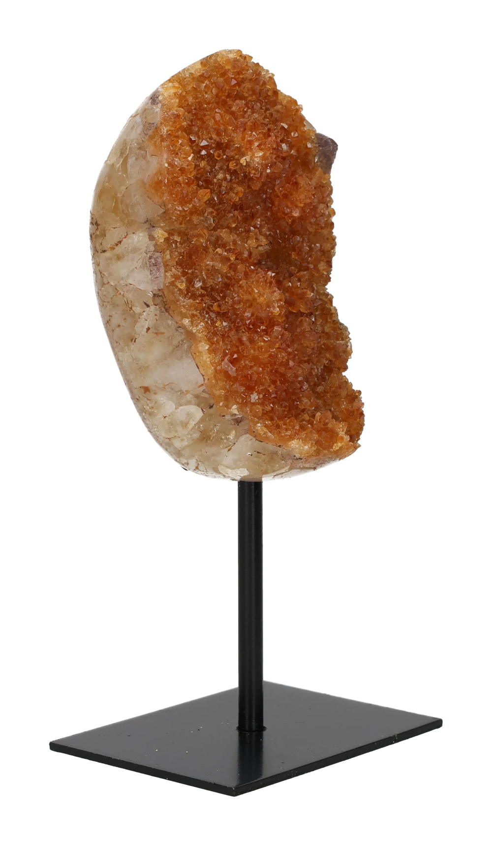 orbitvu|type:image2d