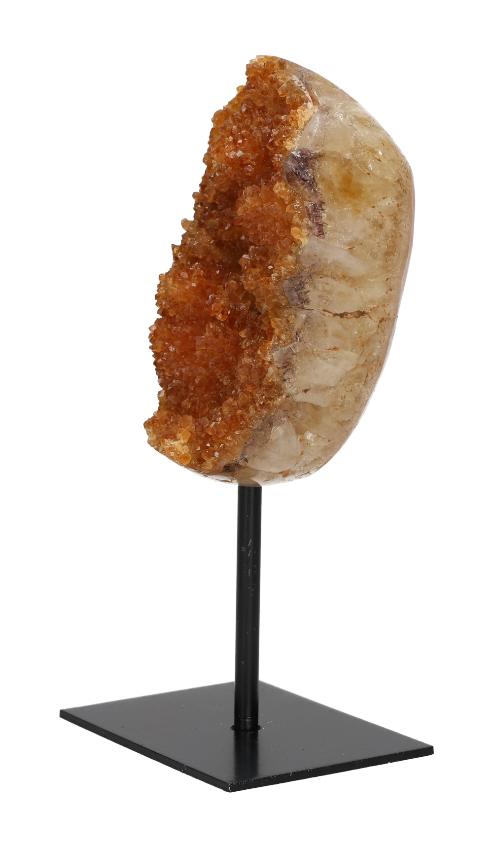 orbitvu|type:image2d