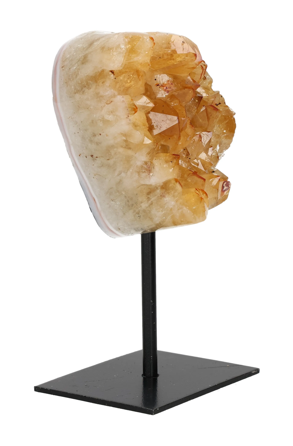 orbitvu|type:image2d