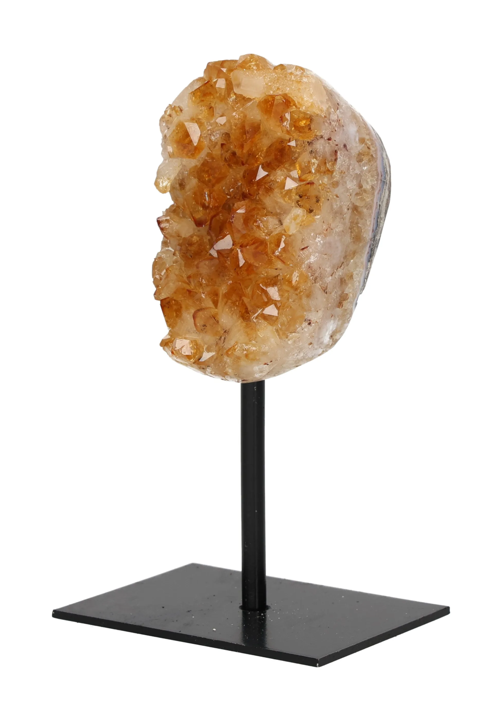 orbitvu|type:image2d