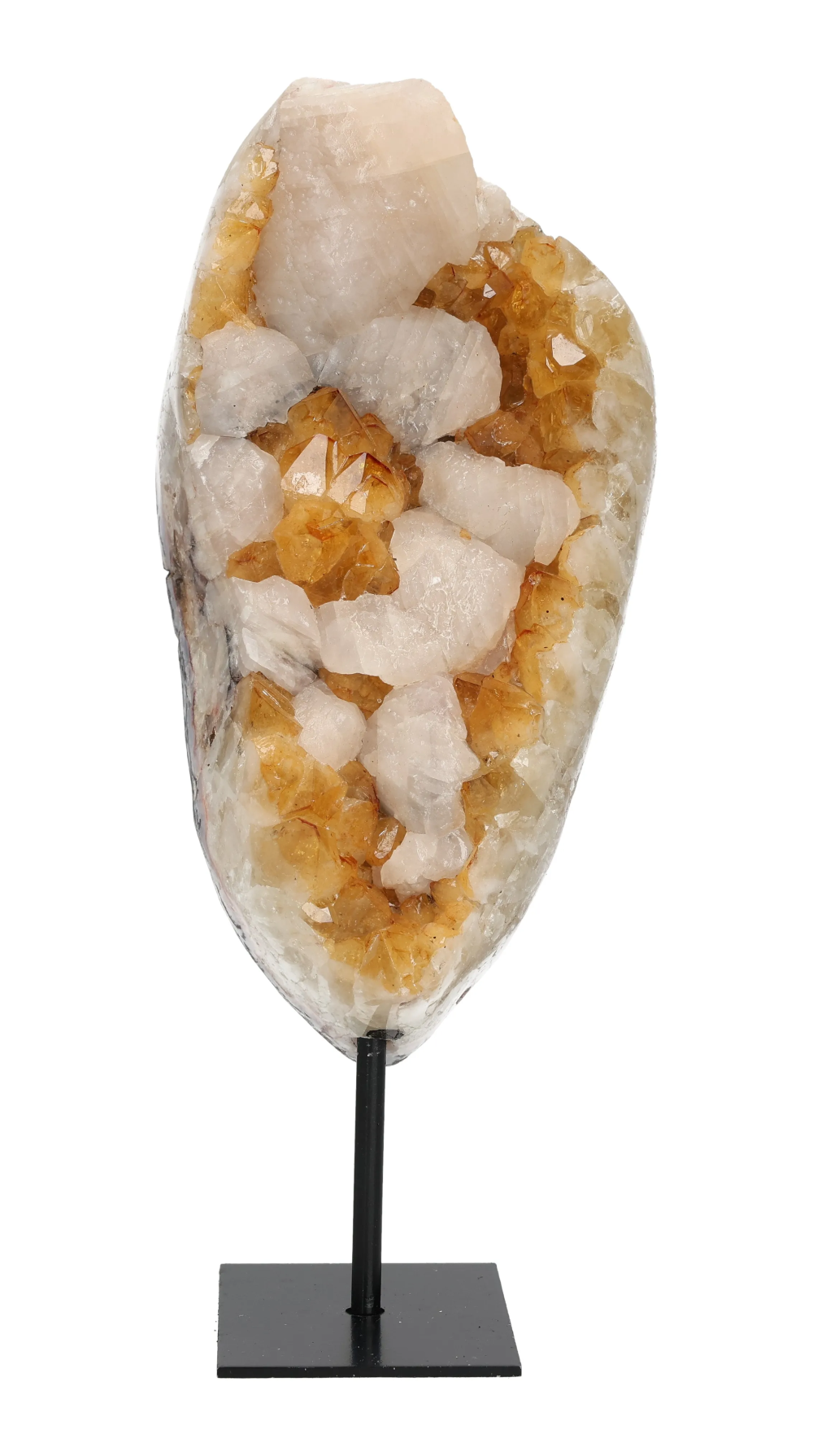 orbitvu|type:image2d