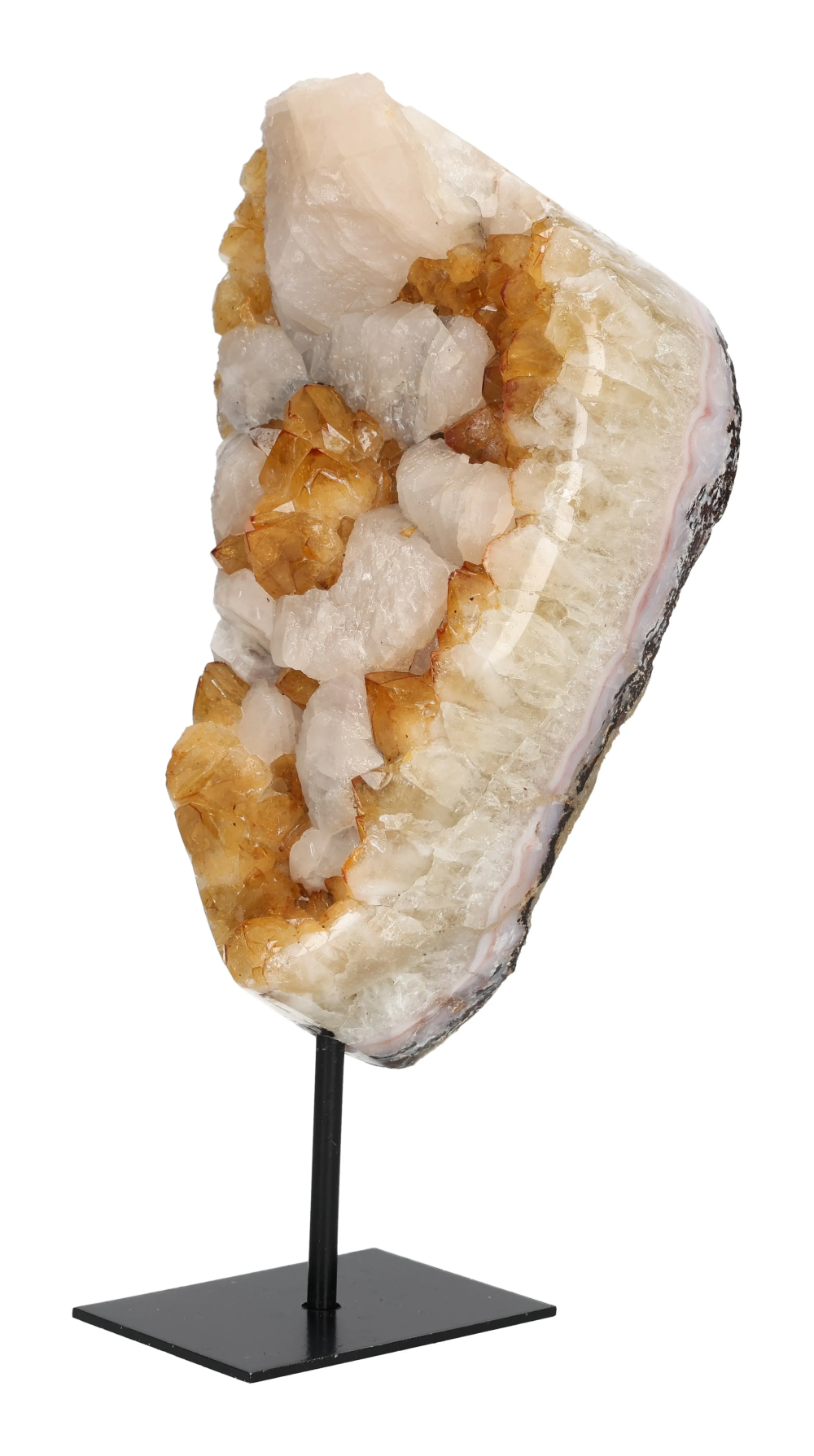 orbitvu|type:image2d