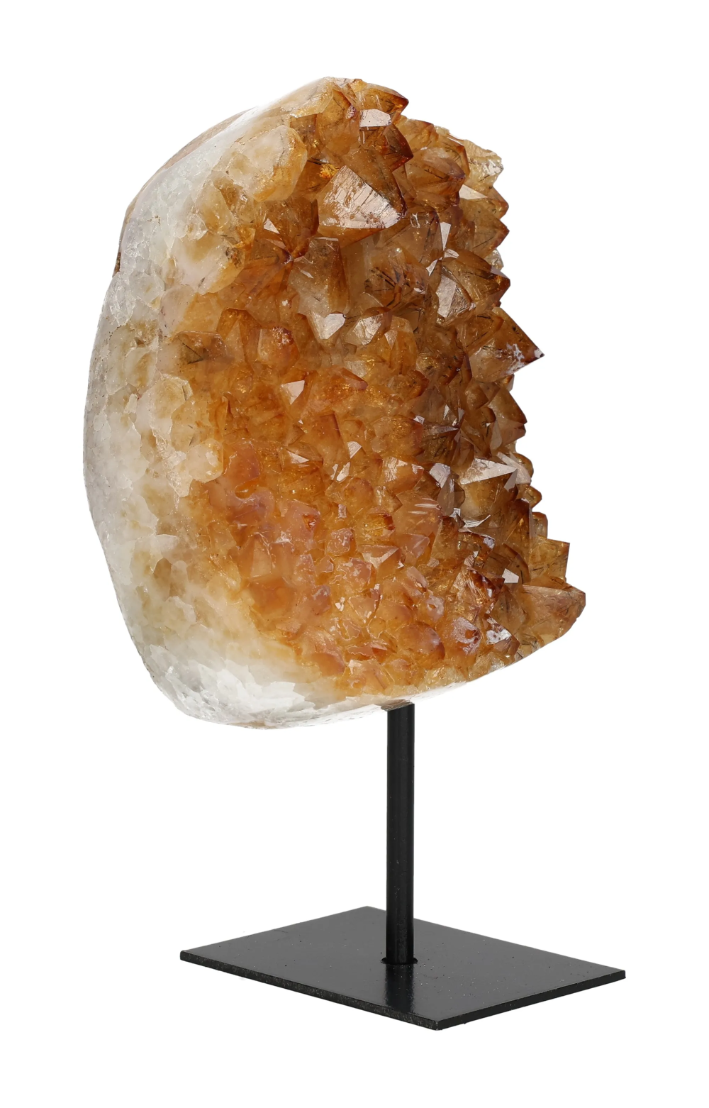 orbitvu|type:image2d