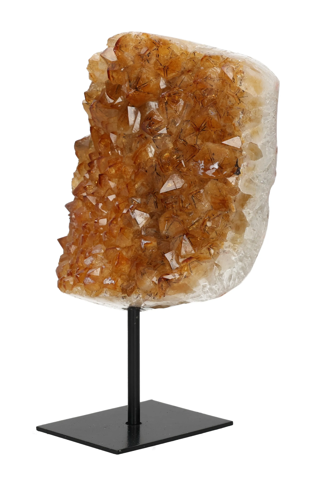 orbitvu|type:image2d